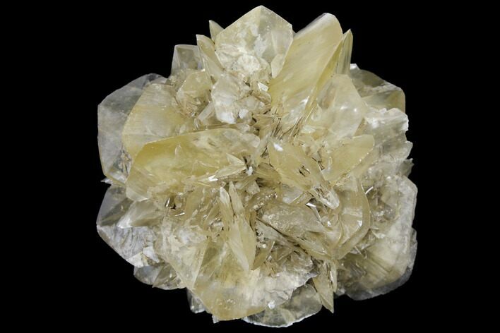 Twinned Selenite Crystals (Fluorescent) - Red River Floodway #130284